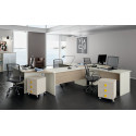Composition Desk Office Five Seats 55 | S. MARTINO MOBILI