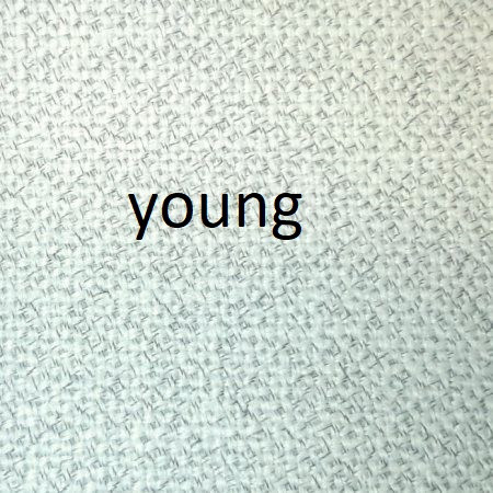 Young (cat. A) (effetto lino)