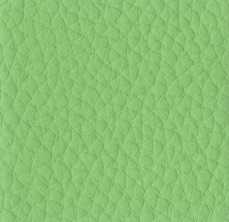 P43 Verde chiaro