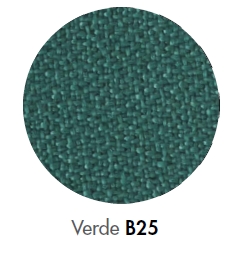 green B25